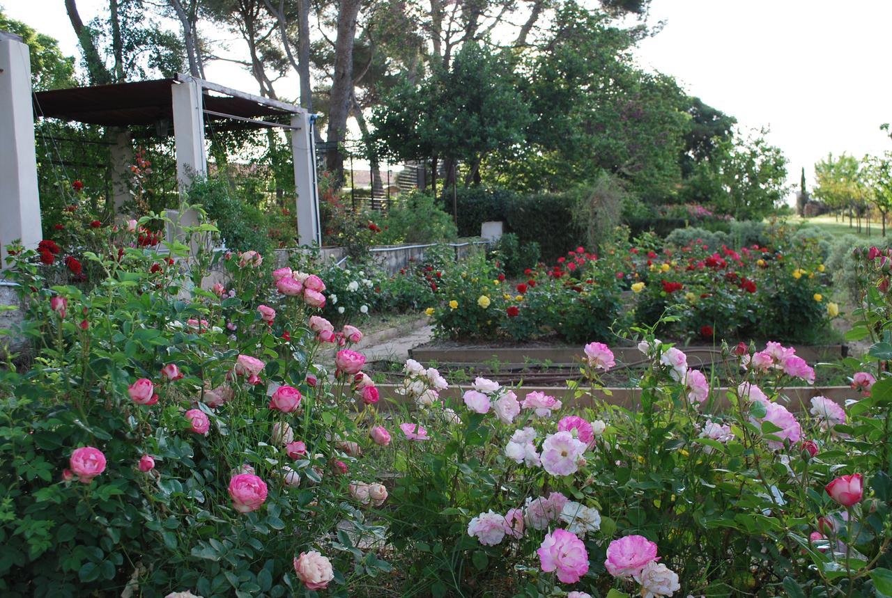 לינה וארוחת בוקר Chateau Sainte Colombe מראה חיצוני תמונה